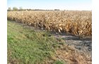 Property photo 7 - 65+/- Acres Offered in 2 Tracts